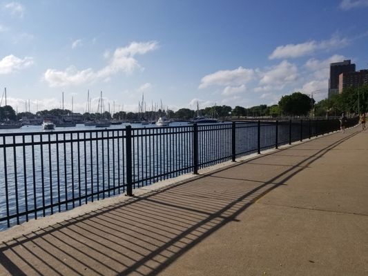 Belmont Harbor by null