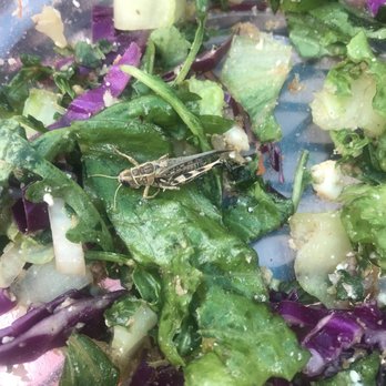 sweetgreen - Healthy Salads, Wraps, and Bowls - Salad Near Me - Dedham, Massachusetts sweetgreen - Healthy Salads, Wraps, and Bowls - Salad Near Me - Dedham, Massachusetts