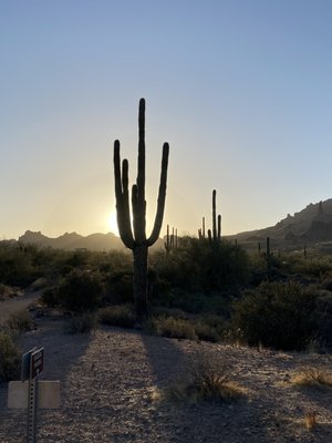 Lost Dutchman State Park by null