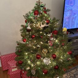 Kelly's Christmas Trees