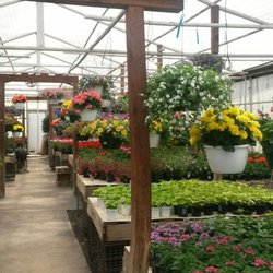 Eastside Greenhouse - Great selection of flowers
