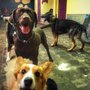 Photo of The Hound Lounge