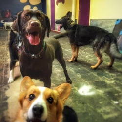 The Hound Lounge - A few happy faces