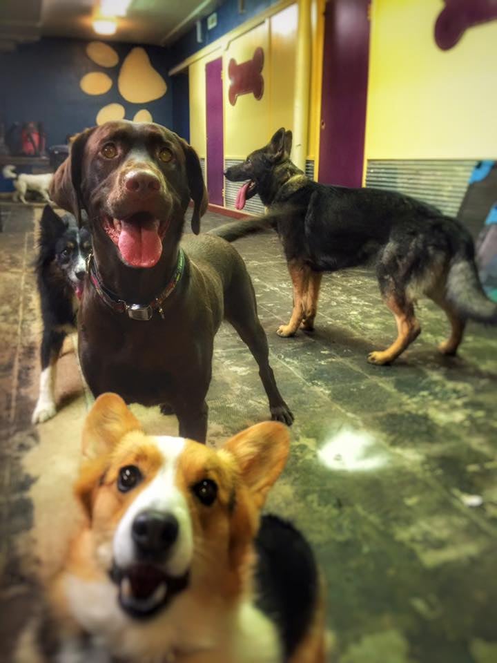 THE HOUND LOUNGE Updated September 2024 520 6th St, Havre, Montana