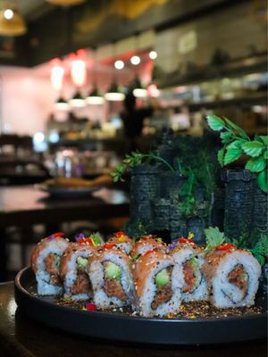 Osha Thai Sushi Galleria by null