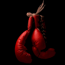 MK Boxing Gym