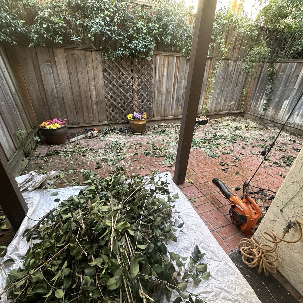 4 Seasons Tree Services - In the process - Tree Services Near Me