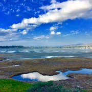 Doran Regional Park 538 Photos 111 Reviews Parks 1 Doran Beach Rd Bodega Bay Ca Phone Number Yelp