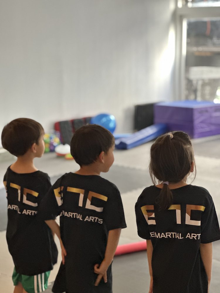 ACE MARTIAL ARTS UPPER EAST SIDE Taekwondo in New York, New York at