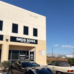 Smog Dogs