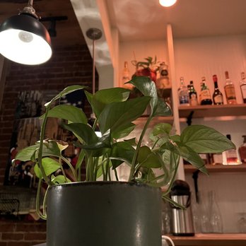 Little Beet Table - New American Near Me - New York, New York