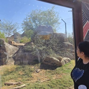 Phoenix Zoo - Zoos Near Me - Phoenix, Arizona