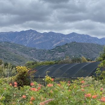 Seaside Gardens - Nurseries & Gardening Near Me - Carpinteria, California