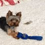 Photo of Bark Me Beautiful 2