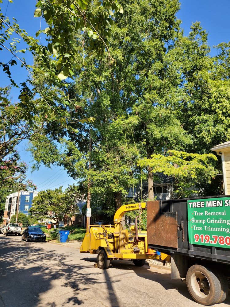TREE MEN SERVICES 25 Photos & 17 Reviews 1313 E Lenoir St, Raleigh