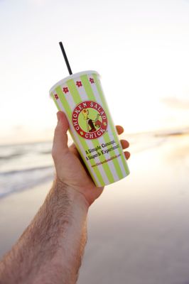 Chicken Salad Chick by null