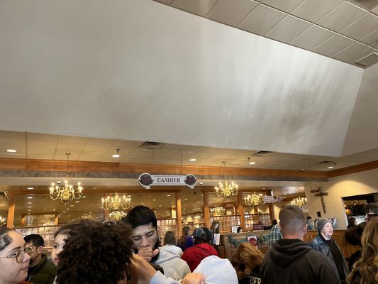 Shady Maple Smorgasbord by null