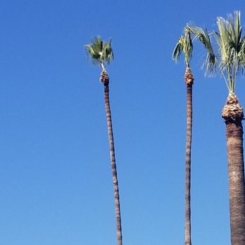 Elite Tree Care - Tree Services Near Me Elite Tree Care - Tree Services Near Me
