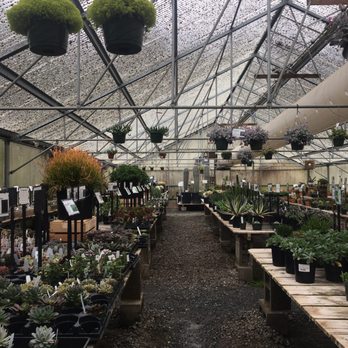 Half Moon Bay Nursery 383 Photos 190 Reviews Nurseries Half Moon Bay Nursery 383 Photos 190 Reviews Nurseries