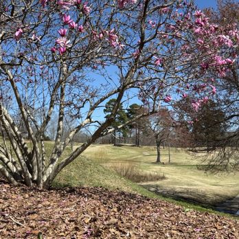 Country Land Golf Course - View from 17th tee box, March '26 - Golf Near Me - Cumming, Georgia Country Land Golf Course - View from 17th tee box, March '26 - Golf Near Me - Cumming, Georgia