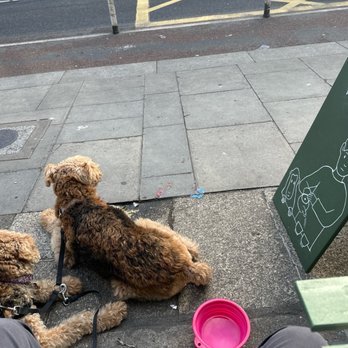 Wall & Keogh - Tea Rooms Near Me - Dublin, D Wall & Keogh - Tea Rooms Near Me - Dublin, D