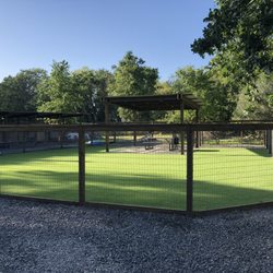 Main daycare yard with pet turf.