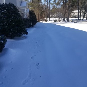 Ulster Property Services - A backyard scene covered in snow, with visible footprints in the snow leading from the foreground toward the background. The yard is bordered by bushes on the left and trees on the right, with some houses visible in the distance. The sky is clear, and sunlight casts shadows across the snow, indicating a sunny winter day. - Landscaping Near Me - Bedford, New Hampshire