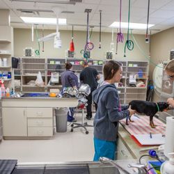BluePearl Pet Hospital