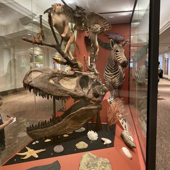 Field Museum - Museums Near Me - Chicago, Illinois Field Museum - Museums Near Me - Chicago, Illinois