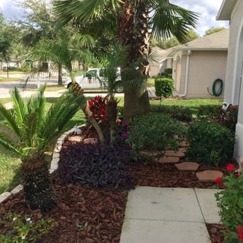 Authentic Custom Services - Flower garden fully clean, fresh big pine bark and and palm trees cut and looking good - Landscaping Near Me - Brandon, Florida Authentic Custom Services - Flower garden fully clean, fresh big pine bark and and palm trees cut and looking good - Landscaping Near Me - Brandon, Florida