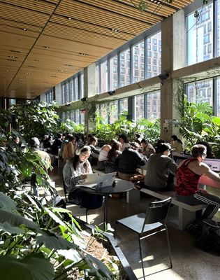 Georgie’s Cafe & Bar by null