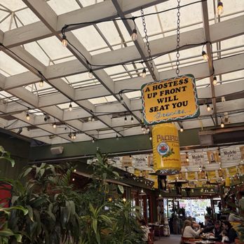 Tortilla Mia - Dining - Mexican Near Me - Carlsbad, California Tortilla Mia - Dining - Mexican Near Me - Carlsbad, California