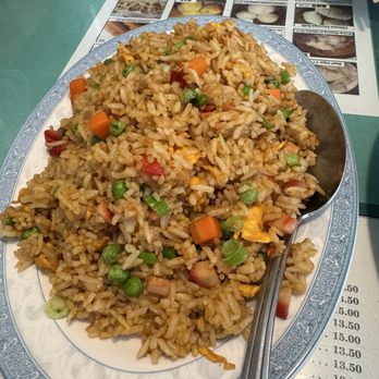 Jade Garden - 20. BBQ Pork Fried Rice - Dim Sum Near Me - Everett, Washington