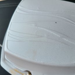 Piece of dead Ant on sandwich box before throwing away food