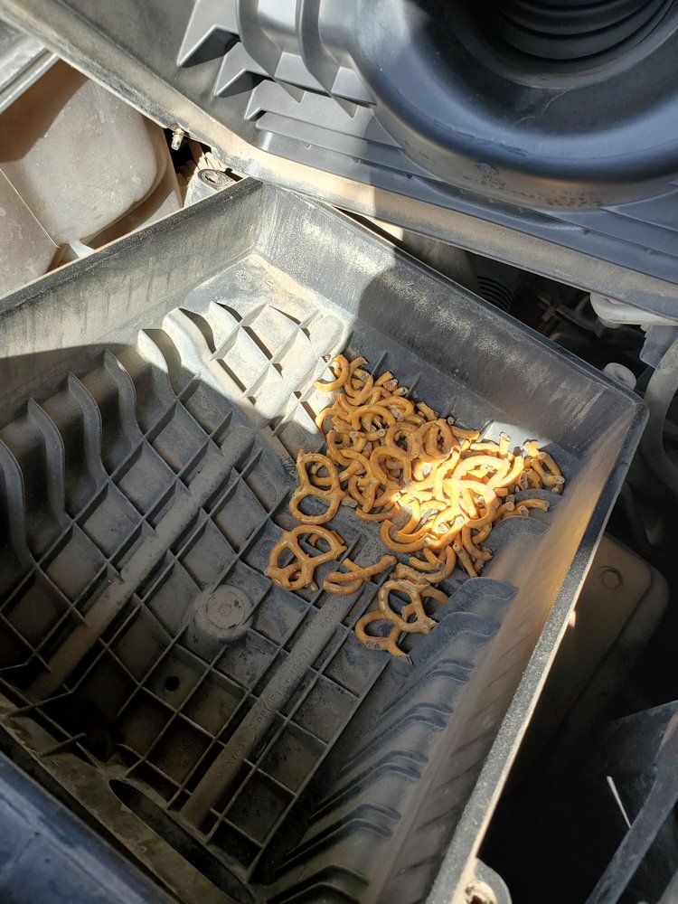 JIFFY LUBE Updated September 2024 11 Photos & 16 Reviews 790 E