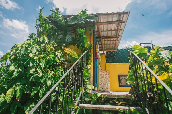 Hostel La Candelaria by null