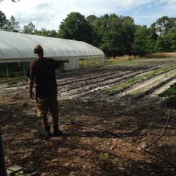 Down to Earth Farm