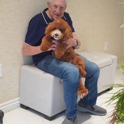 Petrichor Pet Salon