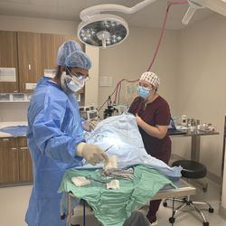 Roseville Animal Hospital - We offer various surgical services such as routine and emergency soft tissue surgery and orthopedic surgeries.