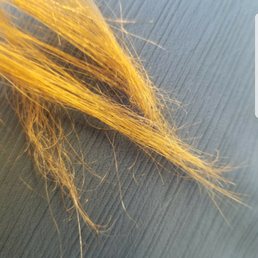 overbleached crispy hair overbleached crispy hair