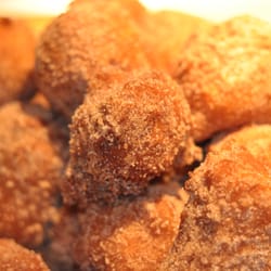 New England Apple Fritters - The best Apple Fritters!