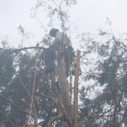 Mannings Tree Service - Cleaning up storm damage