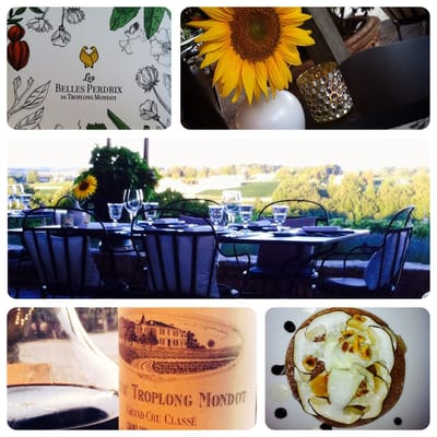 Château Troplong Mondot by null