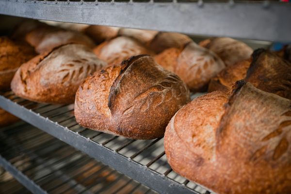 Proof Bread by null