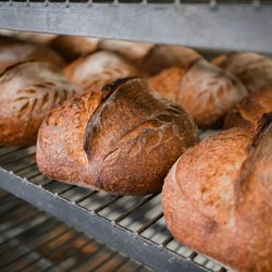 Proof Bread - Country sourdough featuring locally grown, freshly house milled Rouge de Bordeaux flour.