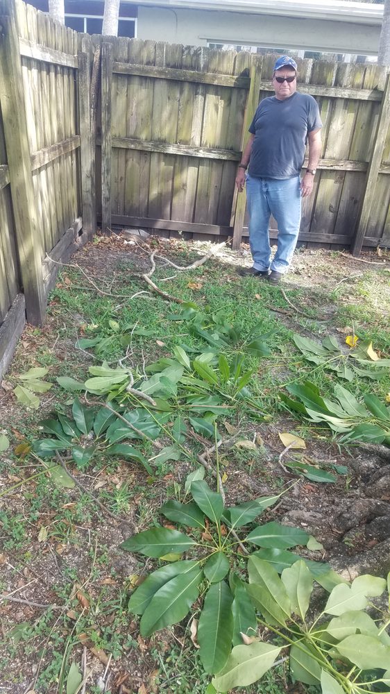 NAVIN BROS ARBORIST Updated October 2024 5251 SW 82nd Ave, Davie