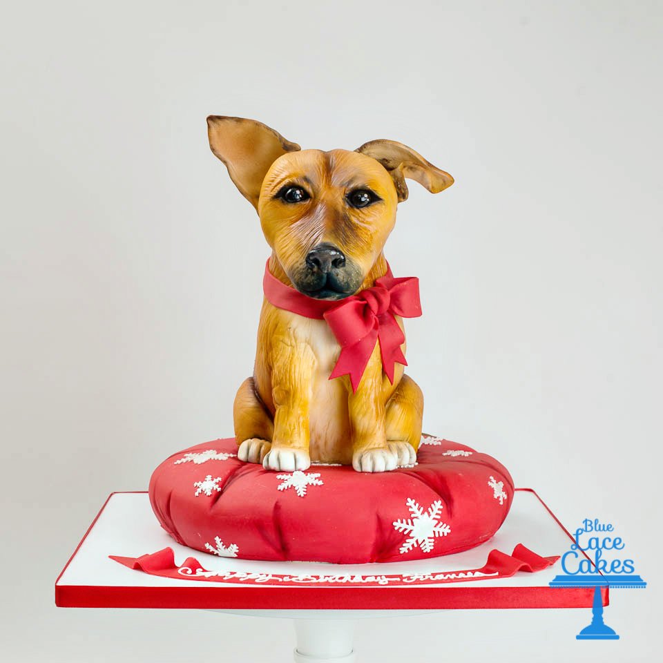 BLUE LACE CAKES Updated June 2024 19 Photos Gaithersburg