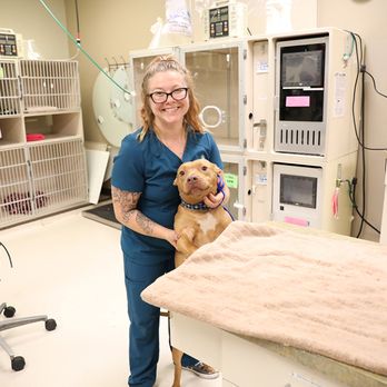 BluePearl Pet Hospital - Veterinarians Near Me - Spring, Texas BluePearl Pet Hospital - Veterinarians Near Me - Spring, Texas