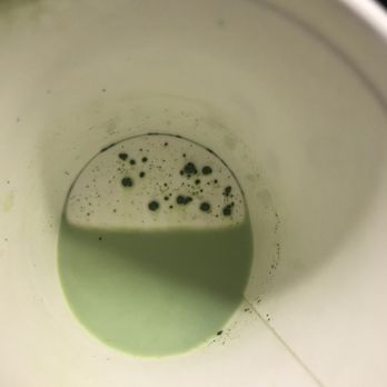Big Shoulders Coffee - Don't order matcha - Coffee Roasteries Near Me - Chicago, Illinois