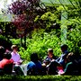 Photo of Pine Point School Inc